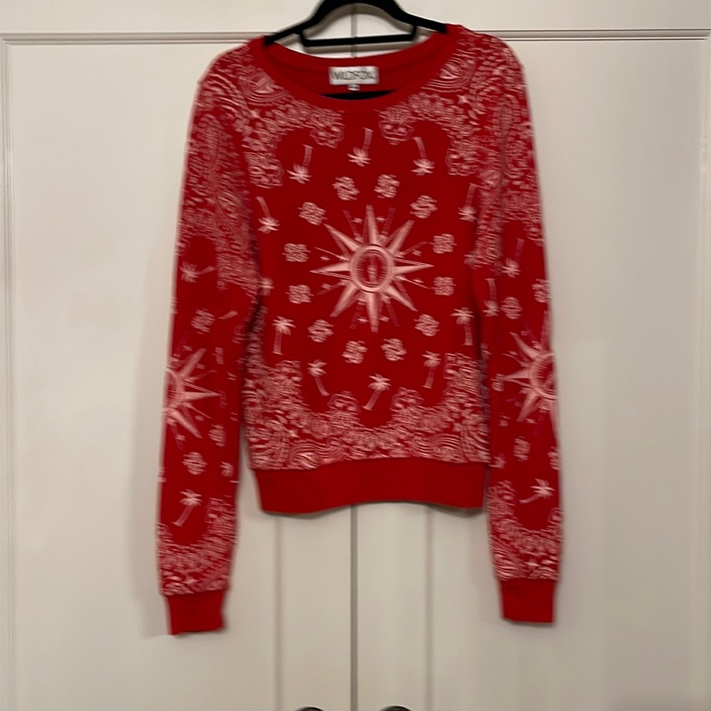 Wildfox sweatshirt
